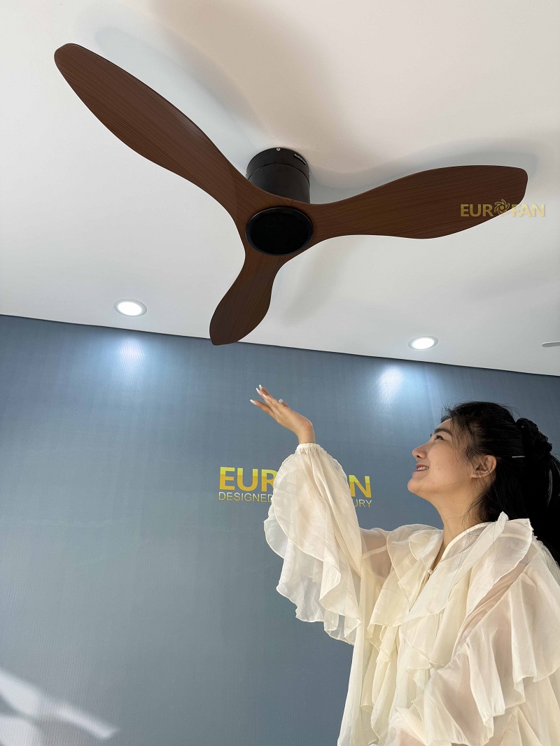 quạt trần 3 cánh thông minh ERF666G