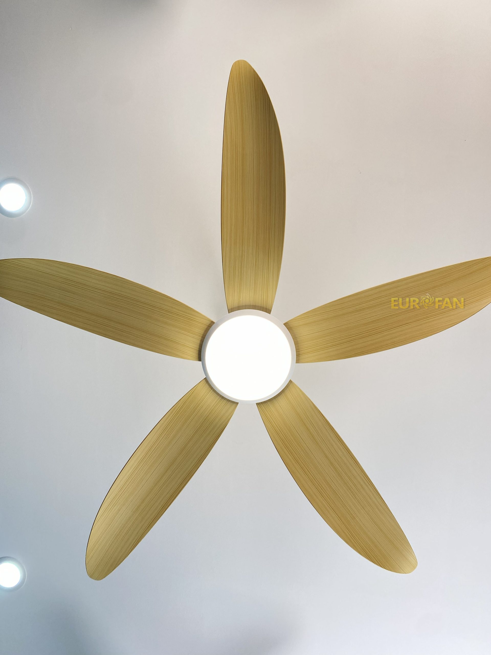 EUROFAN - Địa chỉ mua quạt trần phòng ngủ tiêu chuẩn châu Âu chất lượng
