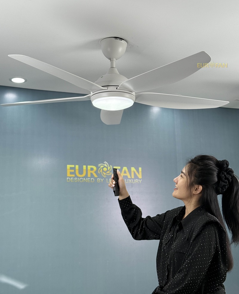 Quạt 5 cánh gió mạnh ERF655T