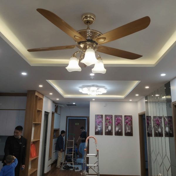 anh sang quat tran ERF843V