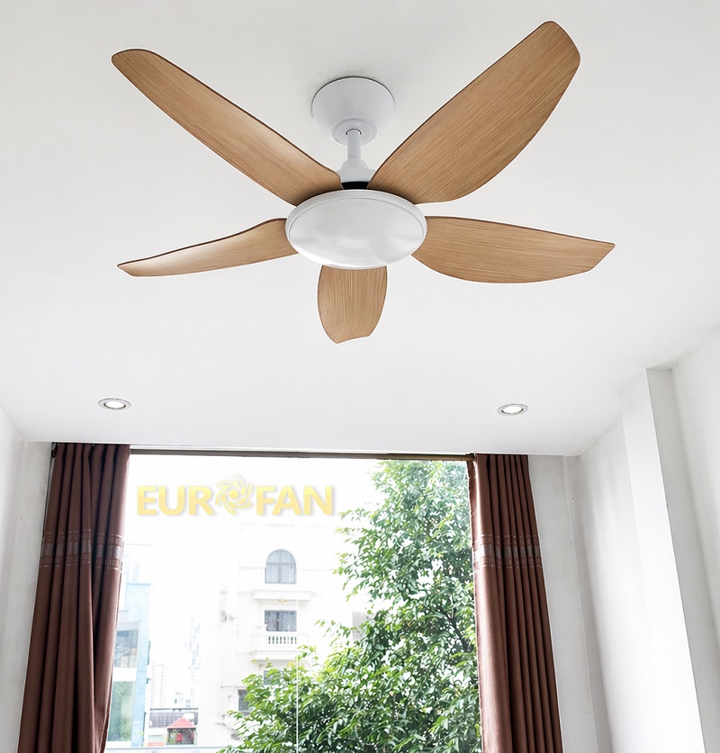 Quạt trần hay điều hoà tốn điện hơn