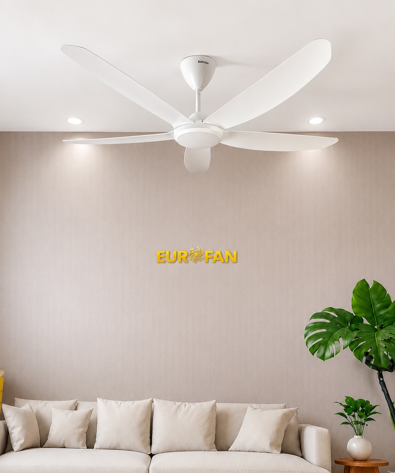 Nên chọn mua quạt trần hay quạt cây và cách chọn phù hợp