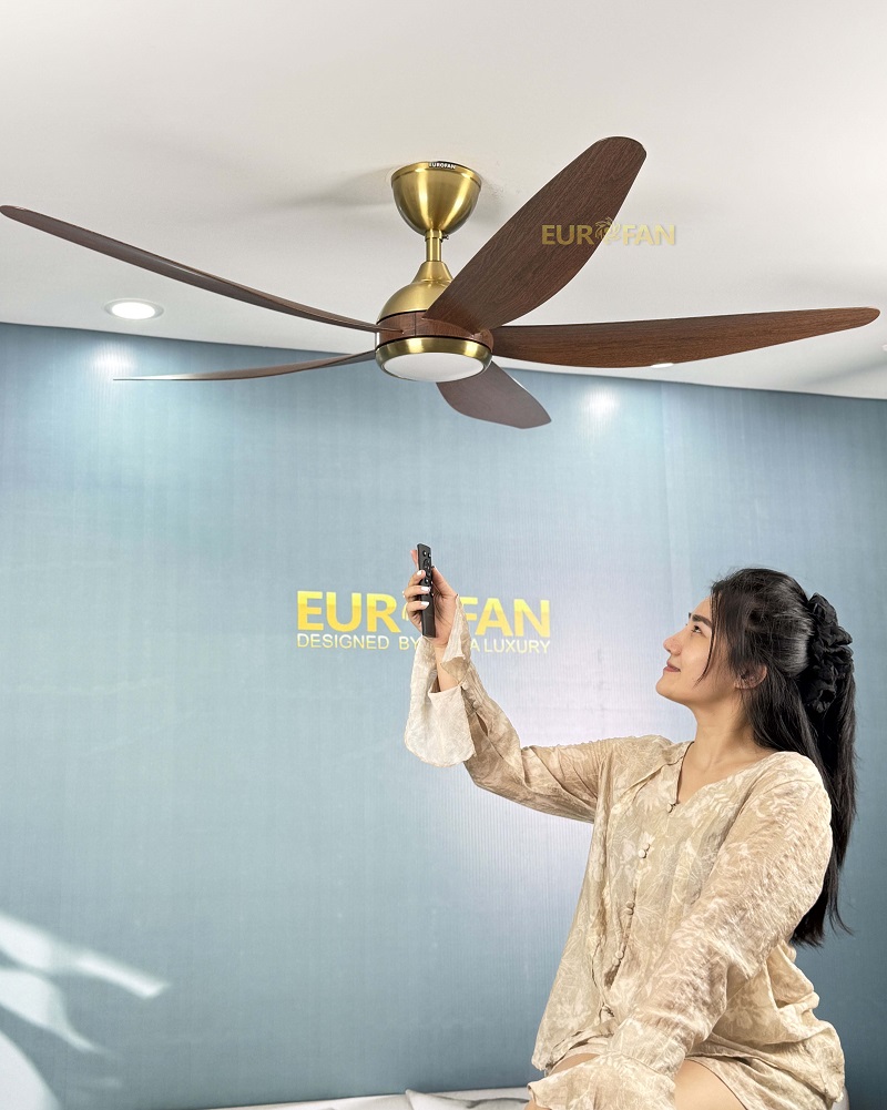 Nên mua quạt trần có đèn hay không đèn