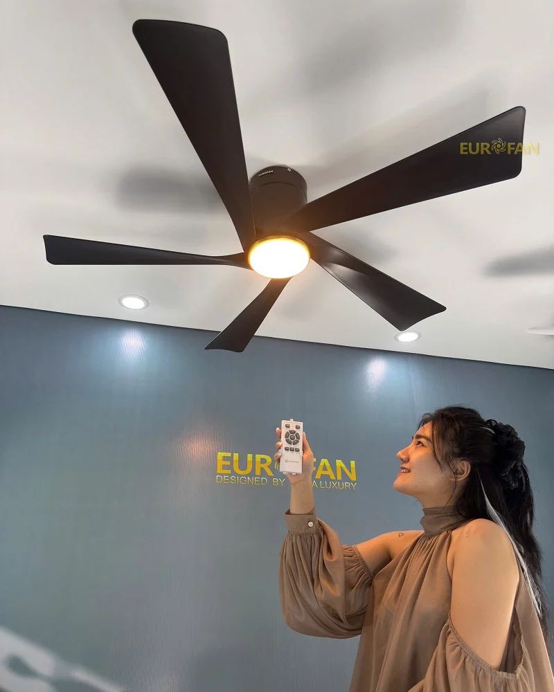 Sắc đen mạnh mẽ cùng thiết kế 5 cánh tối giản mang đến vẻ đẹp hiện đại