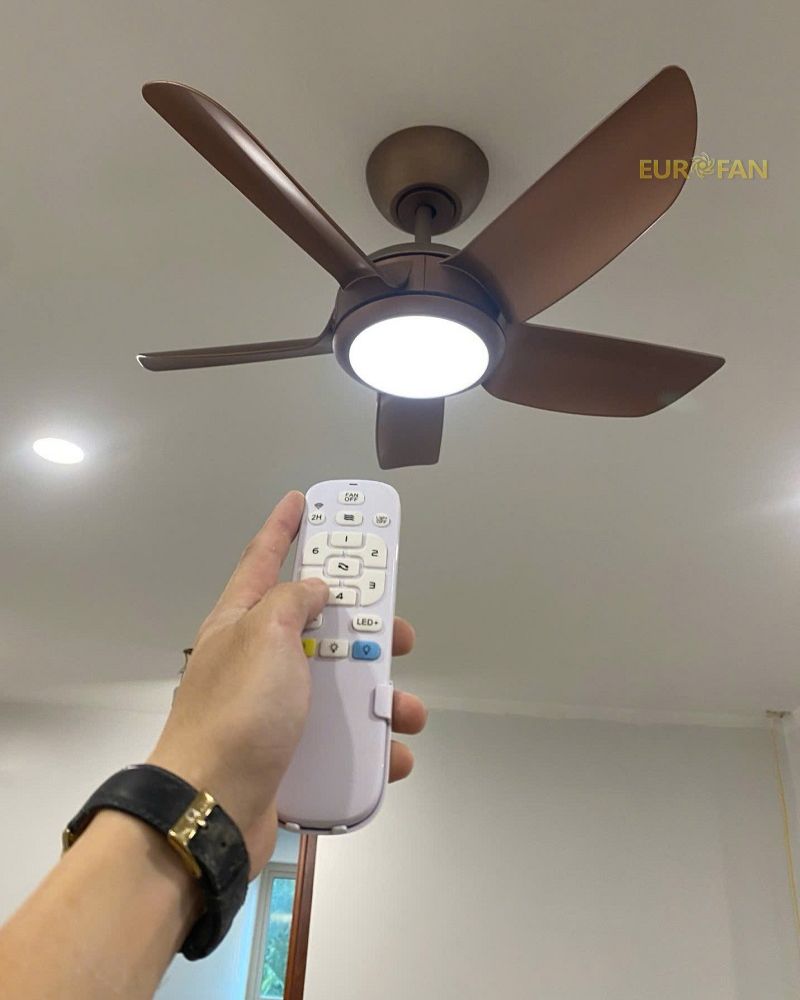 Với thiết kế 5 cánh nhỏ gọn cùng kiểu dáng hiện đại