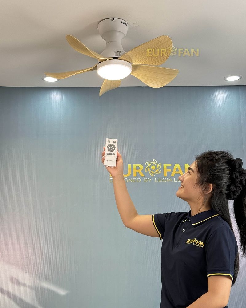 Sở hữu thiết kế đơn giản cùng màu vân gỗ sáng kết hợp trắng